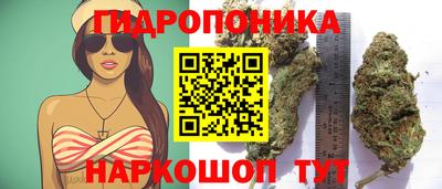 спайс Беслан