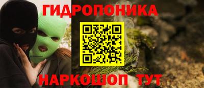 индика Бийск