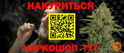 индика Бийск