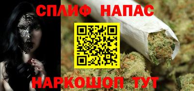 индика Бийск