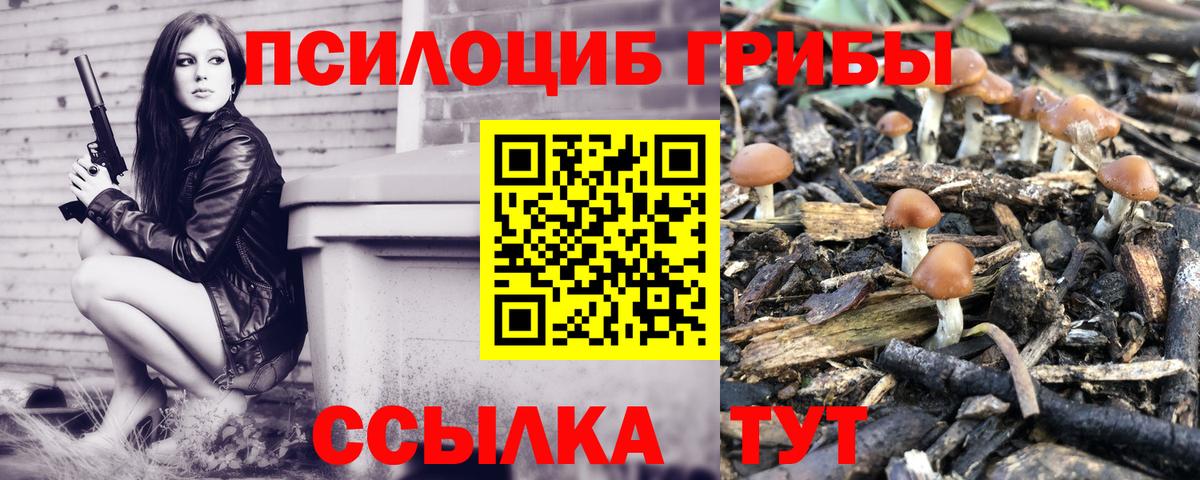 Каспийск  Галлюциногенные грибы GOLDEN TEACHER  Вход с VPN 