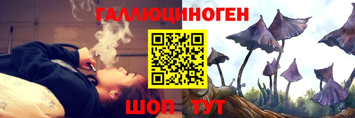 Псилоцибиновые грибы Magic Shrooms Каспийск