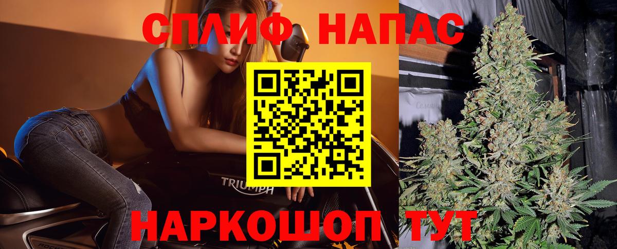 МАРИХУАНА сатива Каспийск